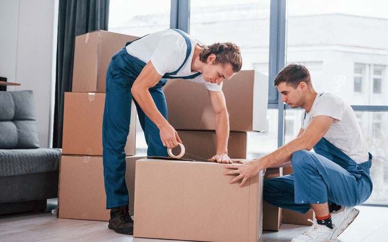Packers And Movers Services In Delhi NCR